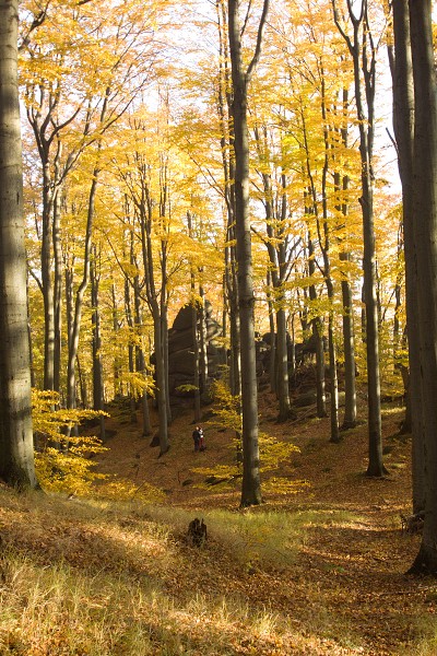 Nad Oldřichovským sedlem