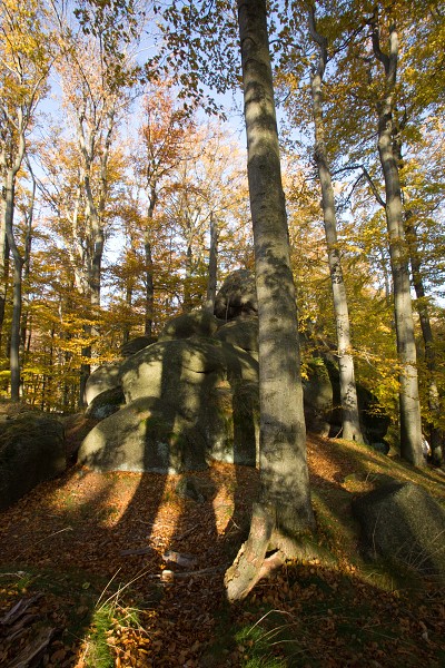 Nad Oldřichovským sedlem