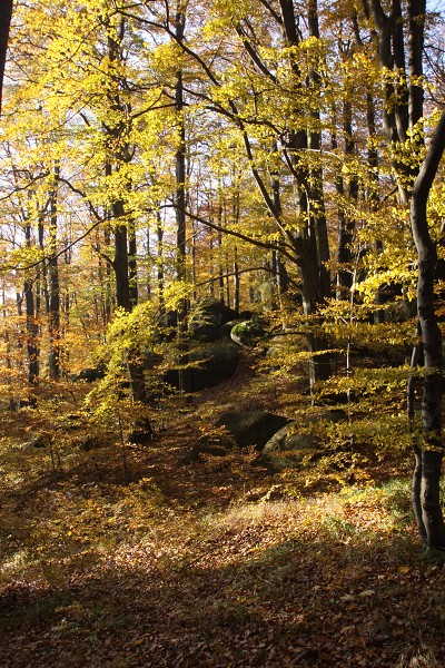 Nad Oldřichovským sedlem