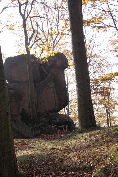 Nad Oldřichovským sedlem