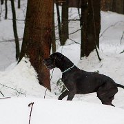 Velmi krátká studená mokrá