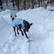 Sobotní ranní svítací mrazivá