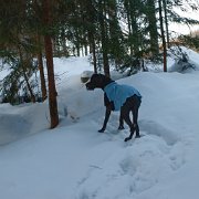 Sobotní ranní svítací mrazivá