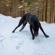 Středeční poo kratičká studená