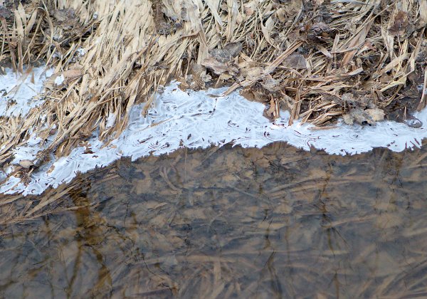 Stezkou pekelnou, 24.2.2019