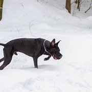 Pondělní kratičká, sníh se boří převelice