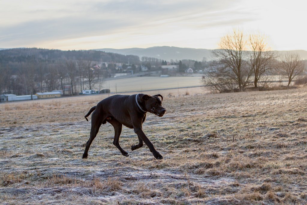 Sobotní ranní kratičká na Ovčí horu