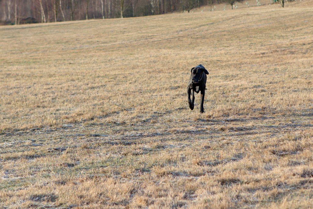 Sobotní ranní kratičká na Ovčí horu