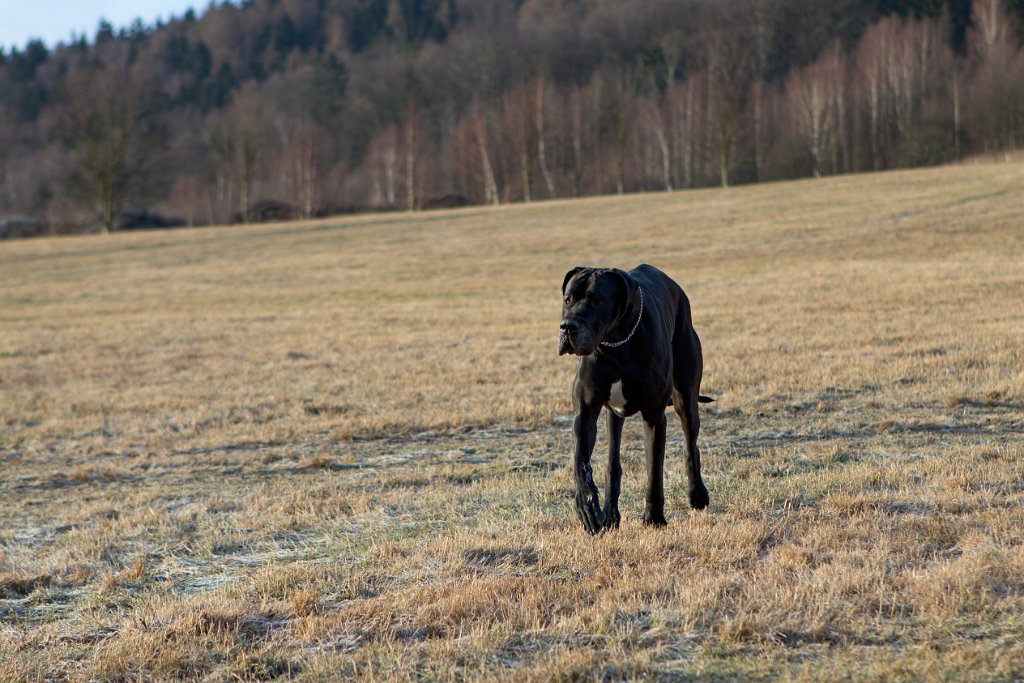 Sobotní ranní kratičká na Ovčí horu