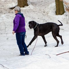 Úterní poo krátká ledovatá