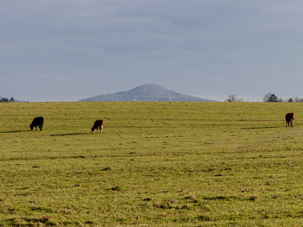 2021-04-25 Jeřábi na Valtinově