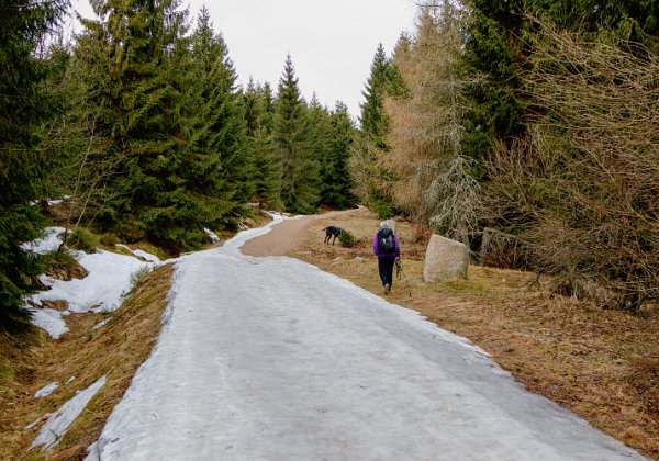 2020-04-26 Na Smědavskou horu