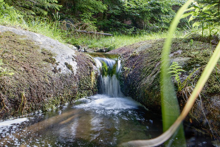 Sobotní ranní houbová