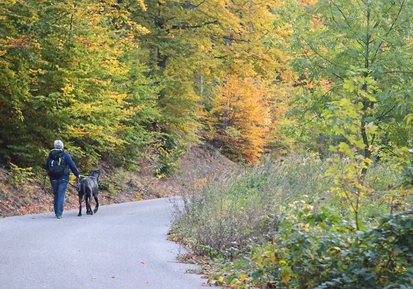 2019-10-13 Na Poledník z jihu