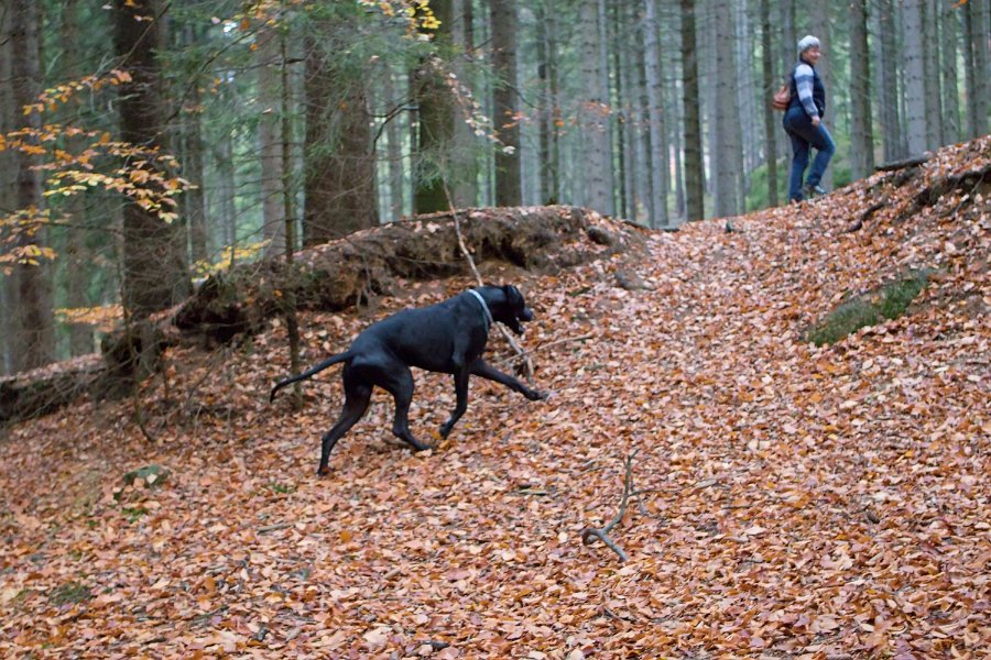 Sobotní ranní protahovací