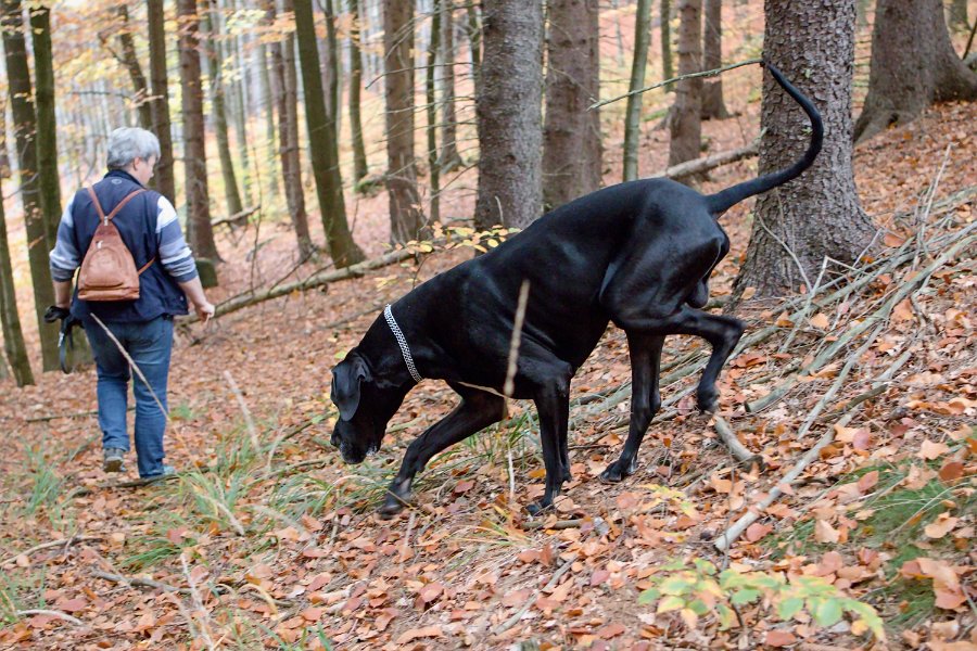 Sobotní ranní protahovací