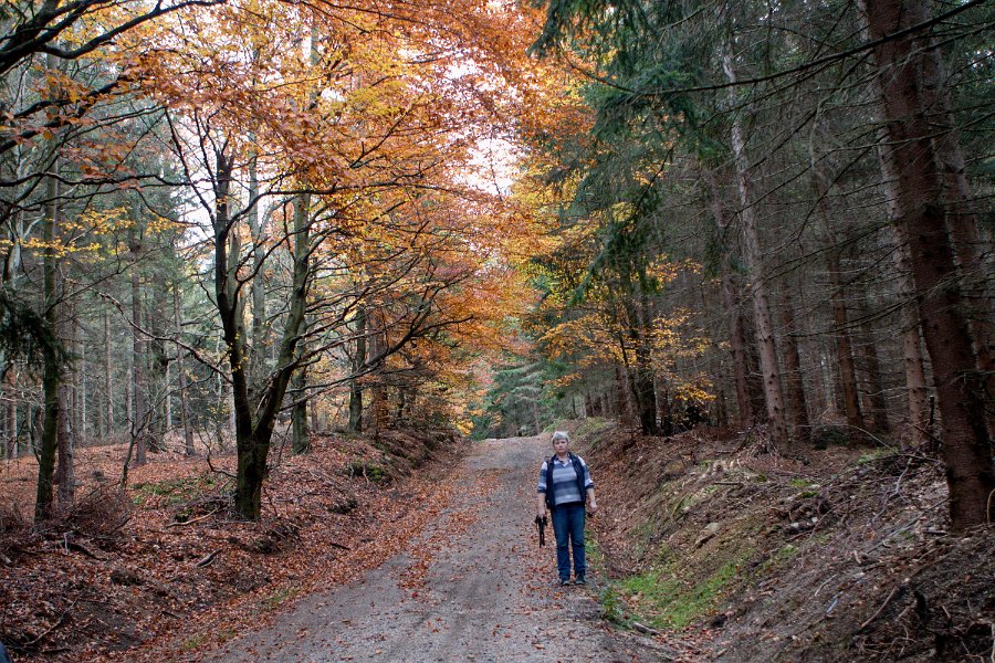 Sobotní ranní protahovací