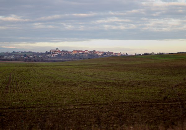 2019-11-30 Zubři, pratuři a jiná zvířata