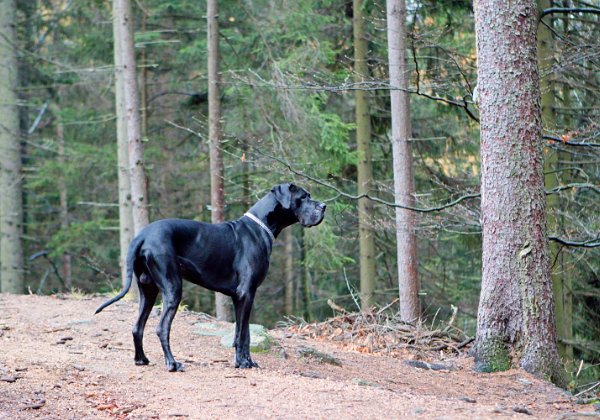 2019-11-23 Co týden dal