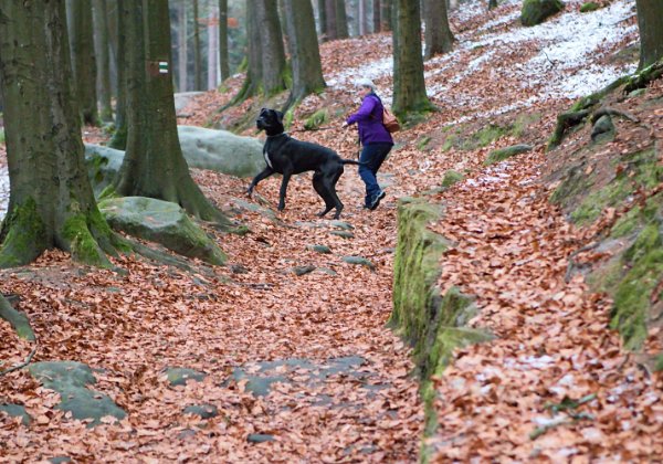 Český Ráj, 15.12.2018