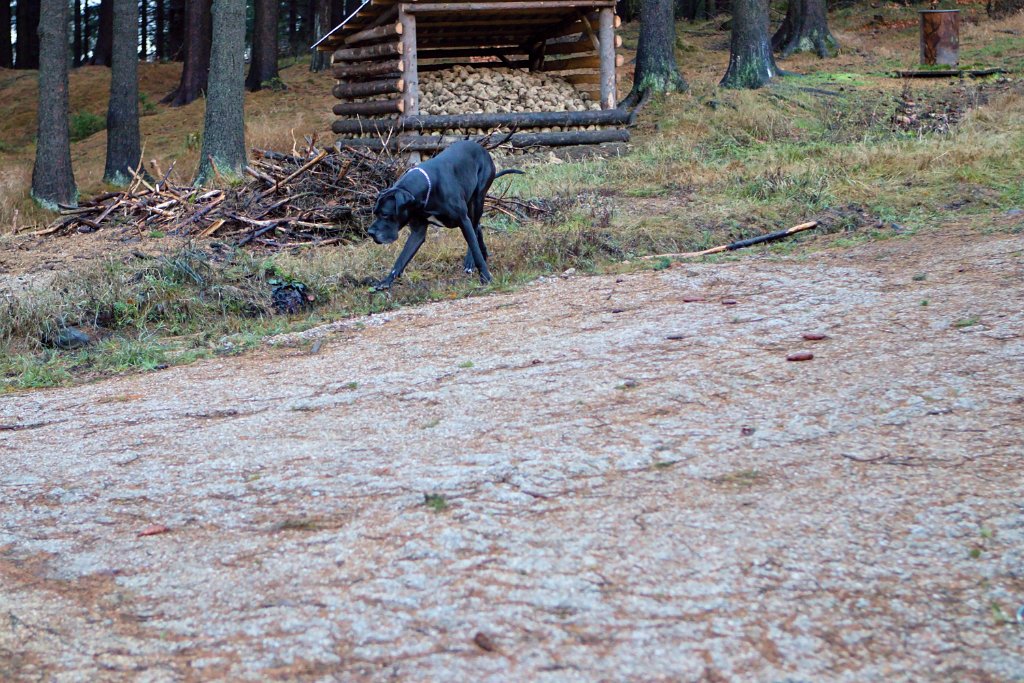 Sobotní ranní dlouhá ale obyčejná