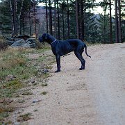 Sobotní ranní dlouhá ale obyčejná