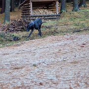 Sobotní ranní dlouhá ale obyčejná