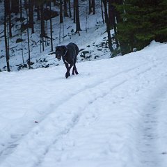 Sobotní ranní ale hodně mokrá