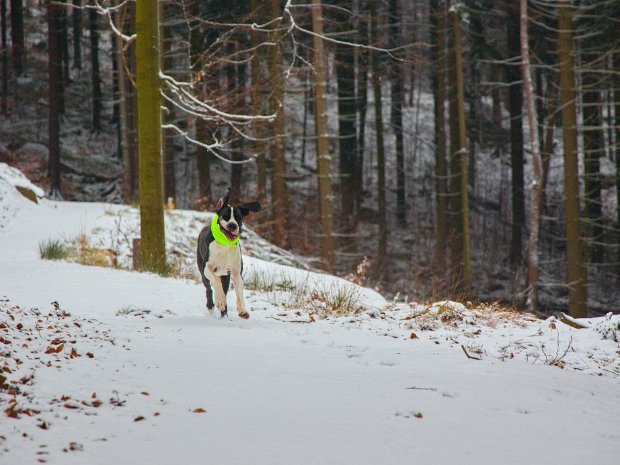 2024-12-21 Co týden dal