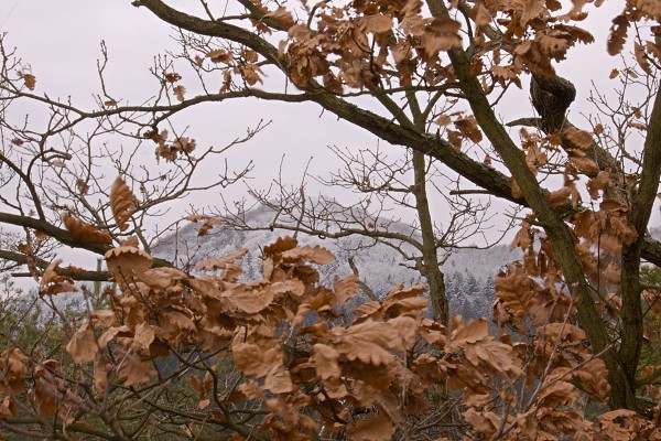 Okolo Hamru na Silvestra