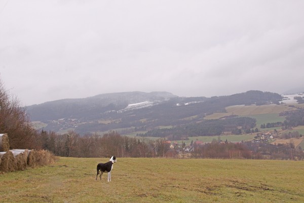 Od Stvolínek k Ronovu a zpět