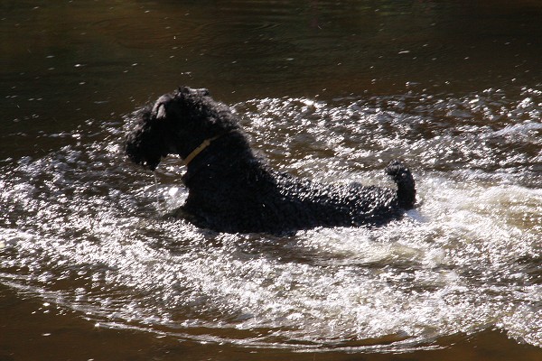 Zvířetník /srpen 2011