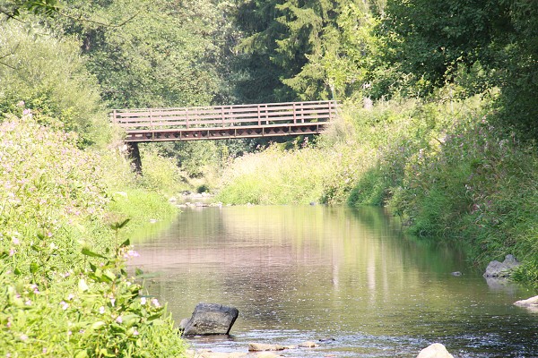 Zvířetník /srpen 2011