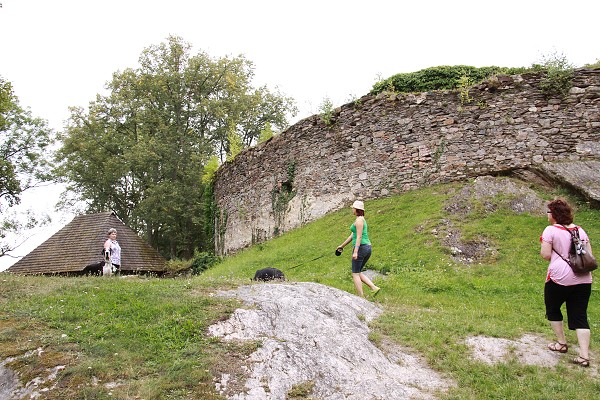 Zvířetník /srpen 2011