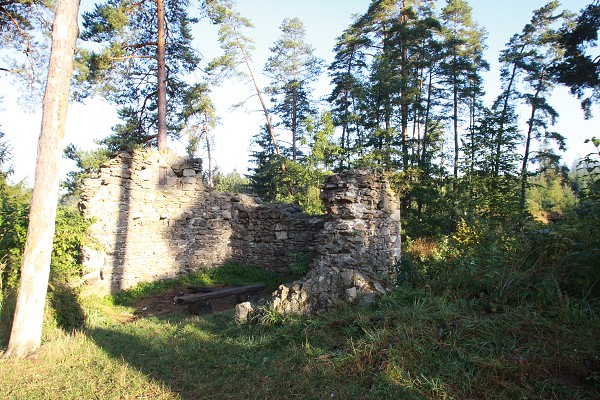 Zvířetník /srpen 2011