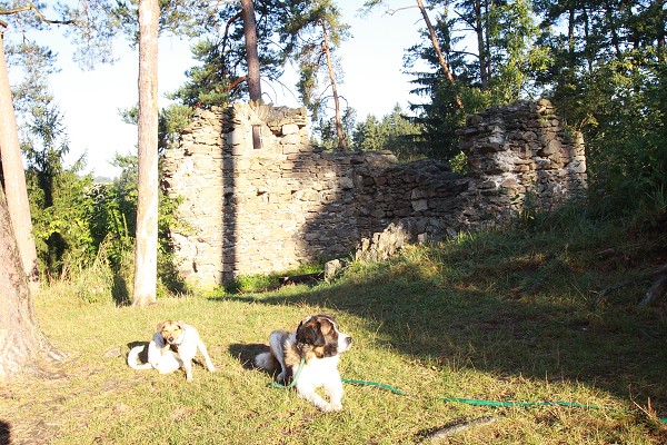 Zvířetník /srpen 2011