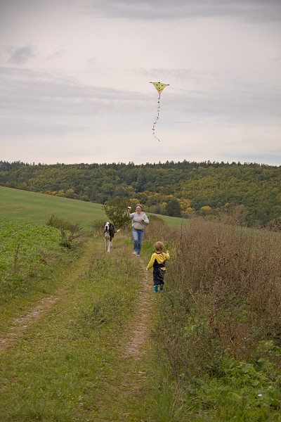 Babička drakonoška