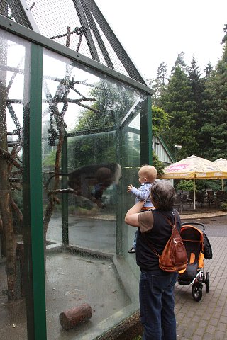 v_zoo_130811_010.jpg